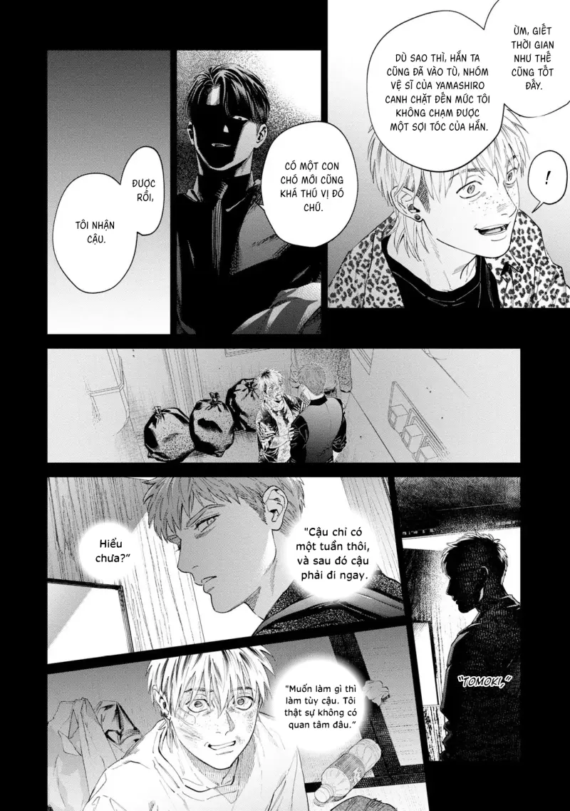 Con sói đội lốt cừu Chapter 14 Trang 4