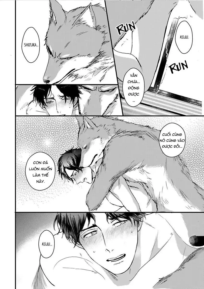 Con trai nuôi của tôi đang phát tình Chapter 2 Trang 4