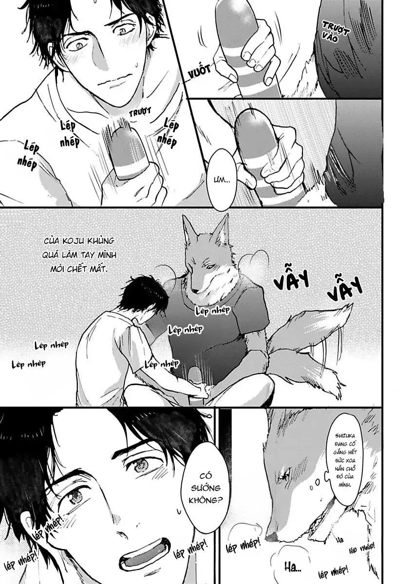 Con trai nuôi của tôi đang phát tình Chapter 3 Trang 5