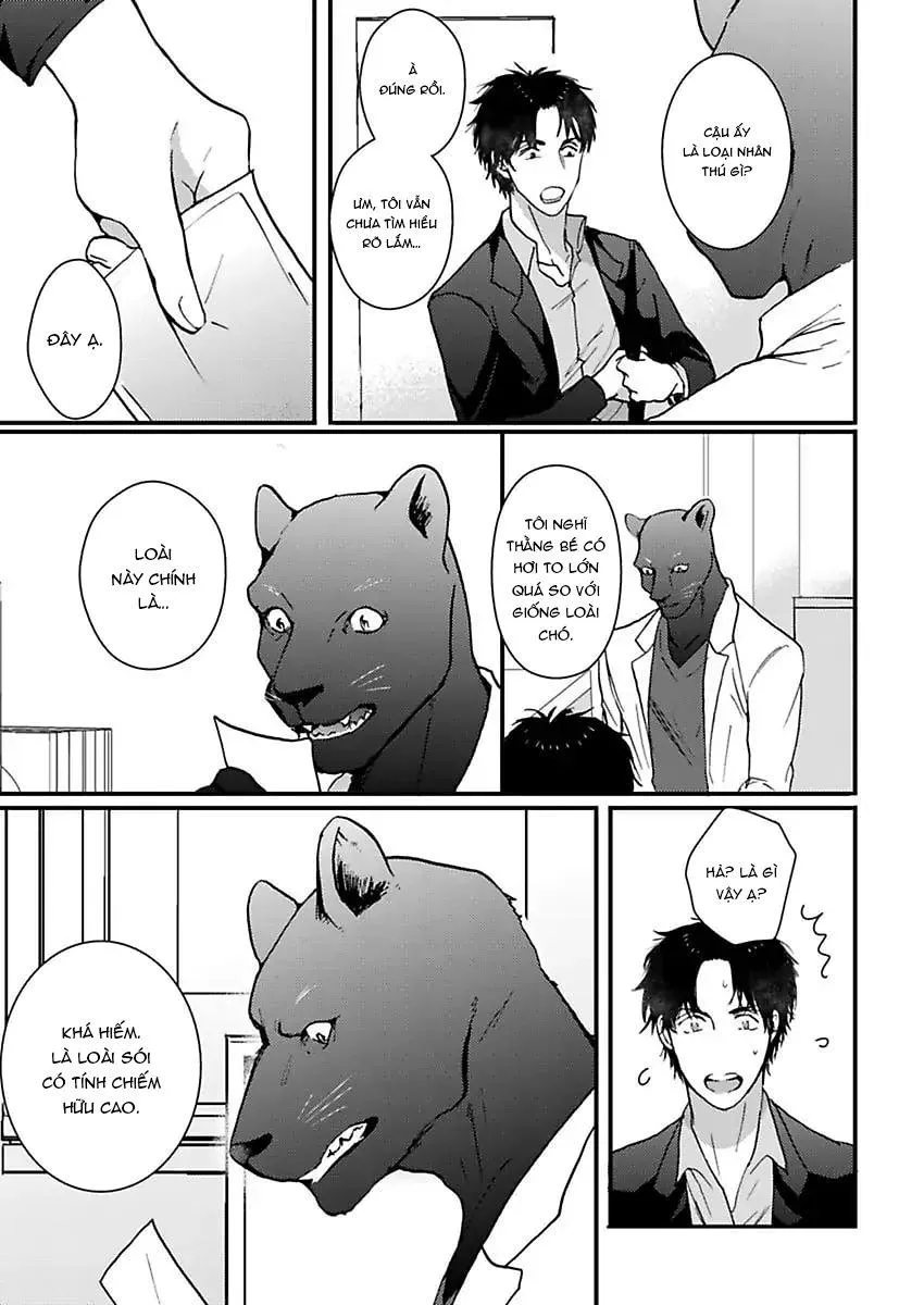 Con trai nuôi của tôi đang phát tình Chapter 3 Trang 15