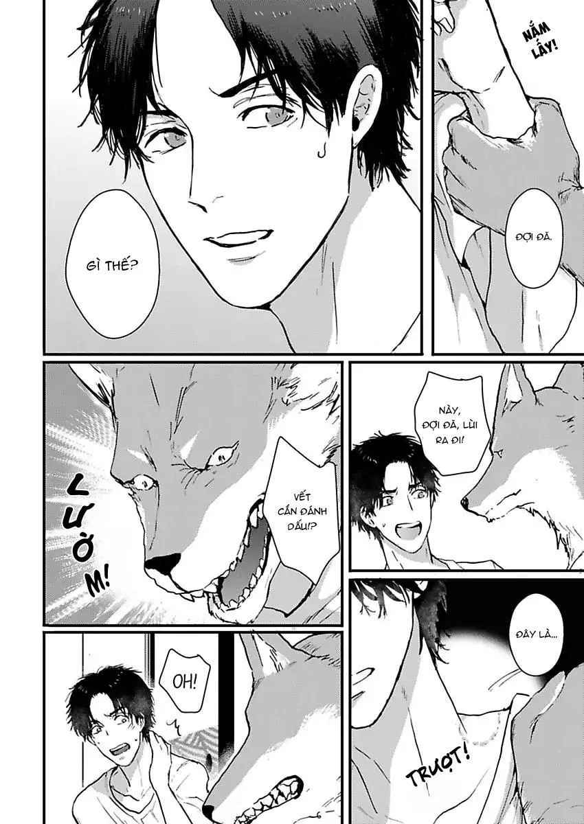 Con trai nuôi của tôi đang phát tình Chapter 3 Trang 22