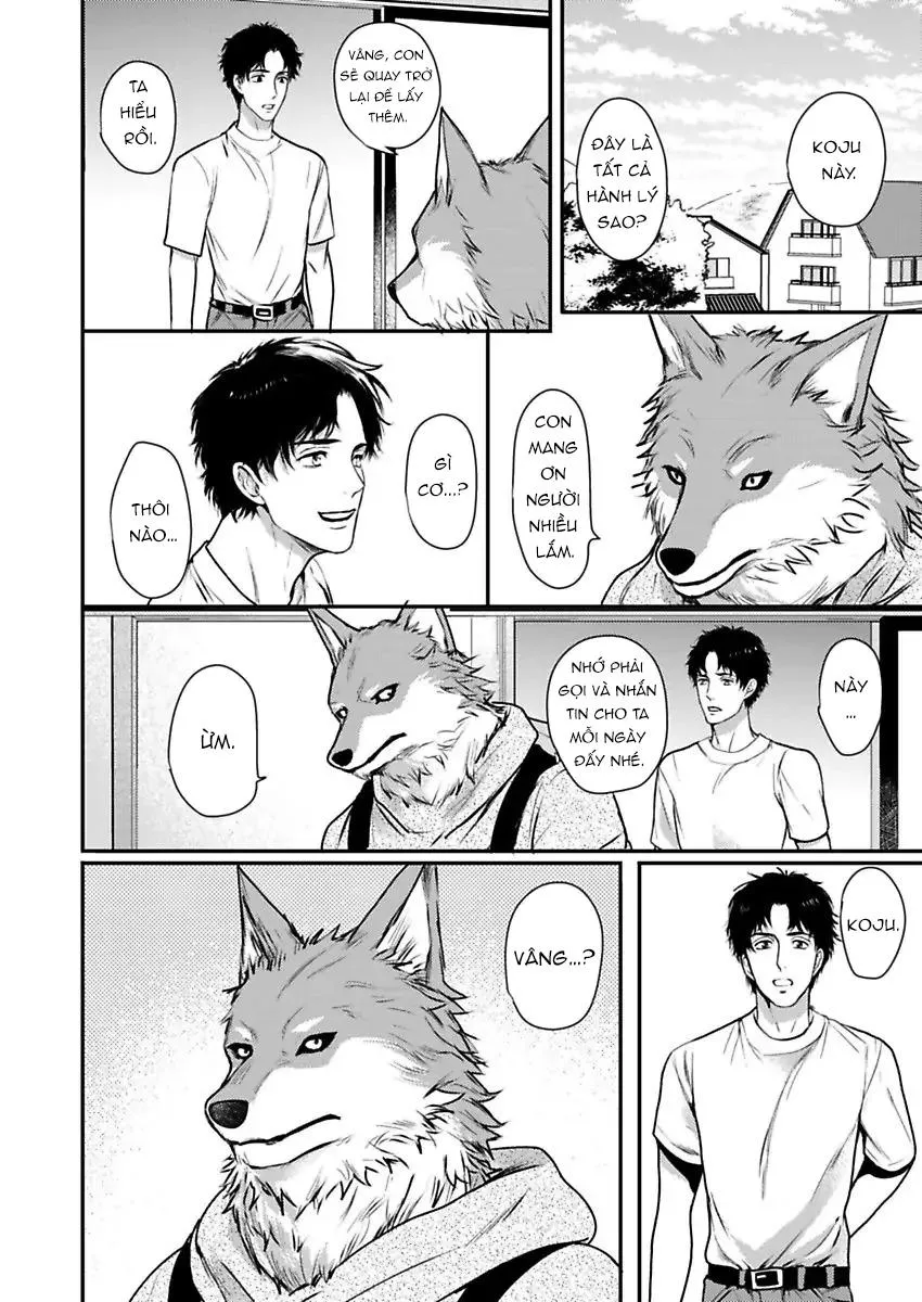 Con trai nuôi của tôi đang phát tình Chapter 5 Trang 16