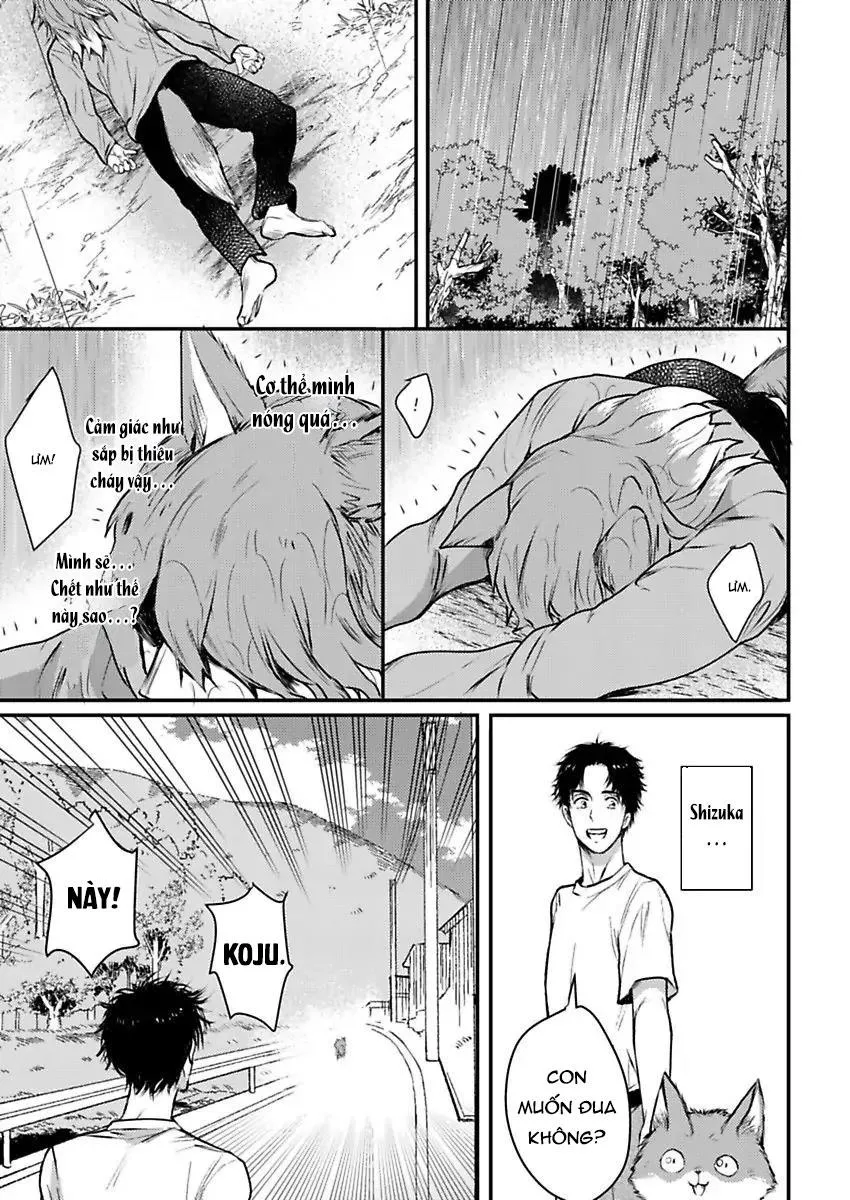 Con trai nuôi của tôi đang phát tình Chapter 6 Trang 3