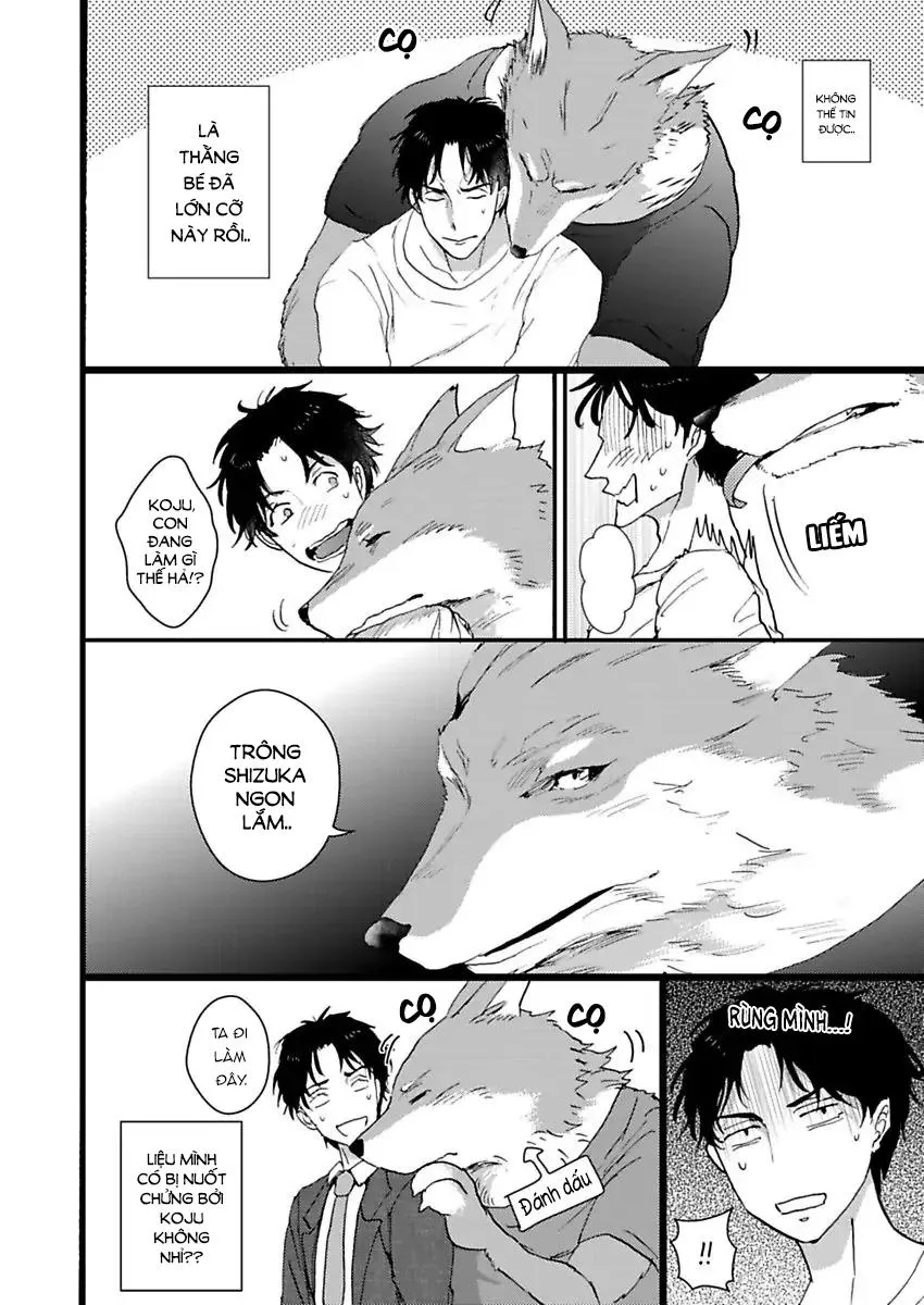 Con trai nuôi của tôi đang phát tình Chapter 1 Trang 8