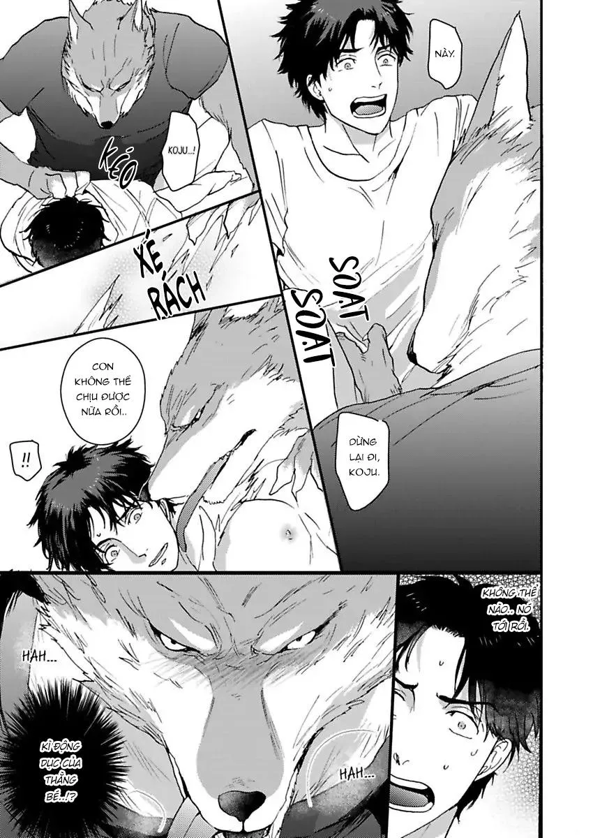 Con trai nuôi của tôi đang phát tình Chapter 1 Trang 11