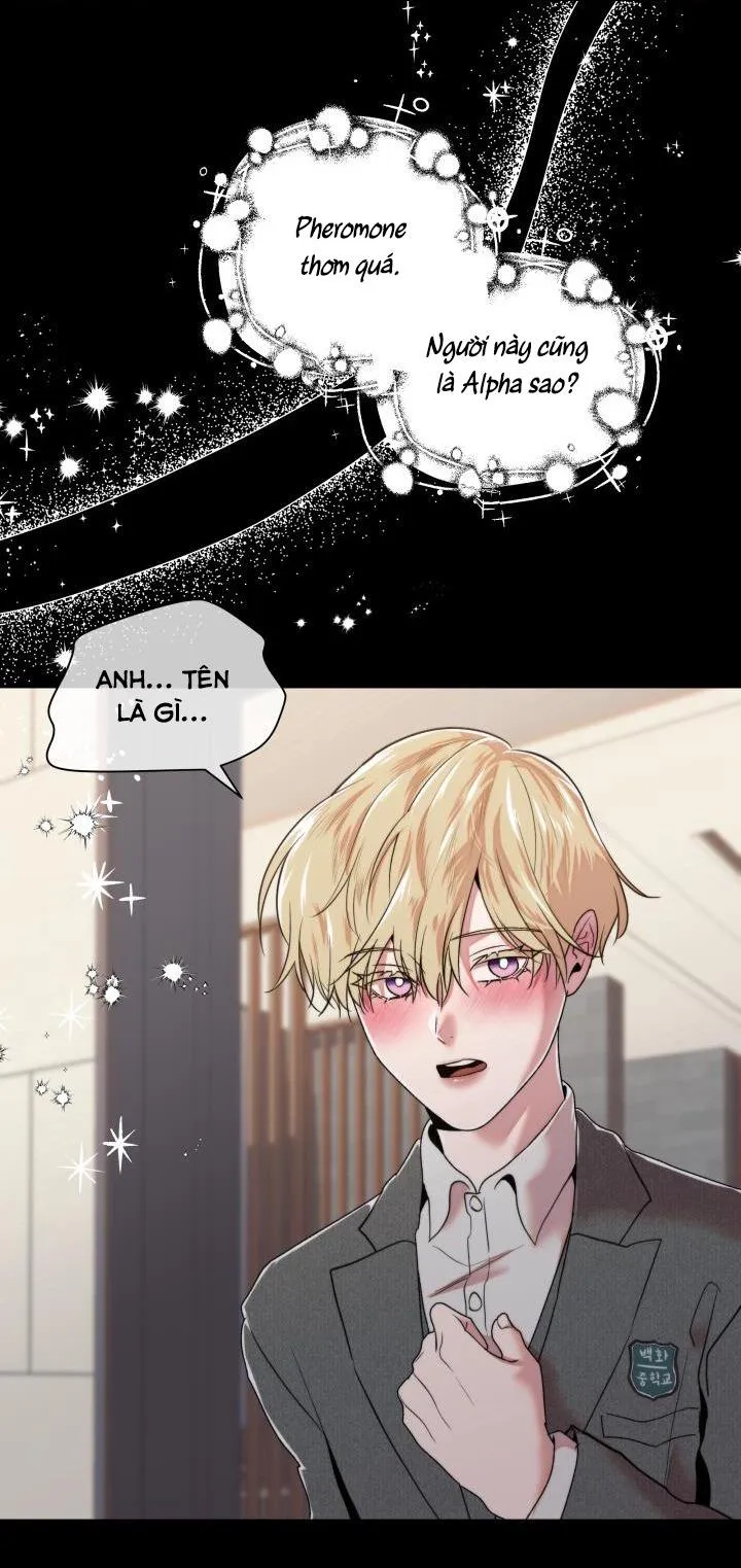 CÔNG CHÚA NHÀ BÊN Chapter 1 Trang 31