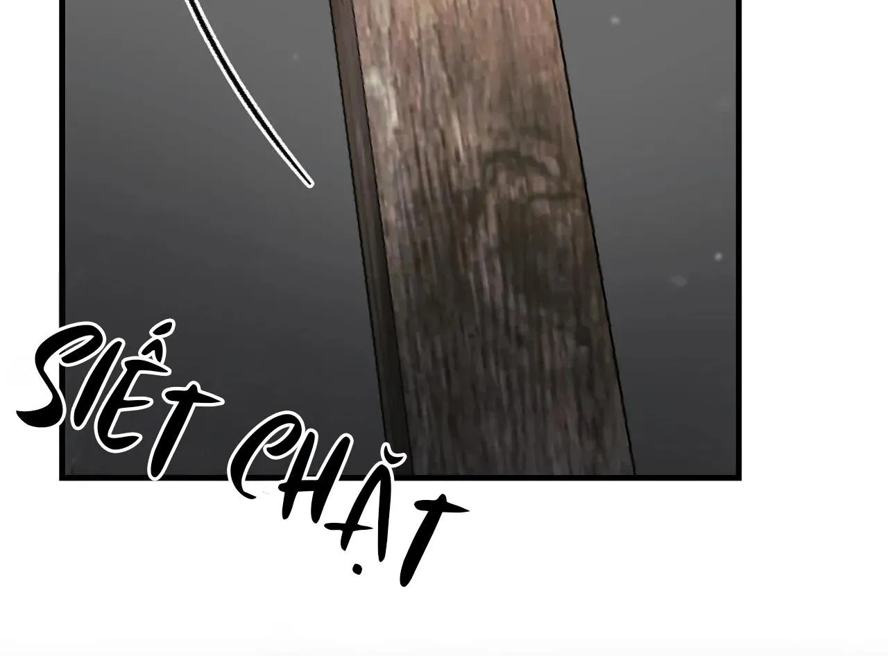 Công Cuộc Báo Thù Của Kẻ Yếu Thế Chapter 63 Trang 143