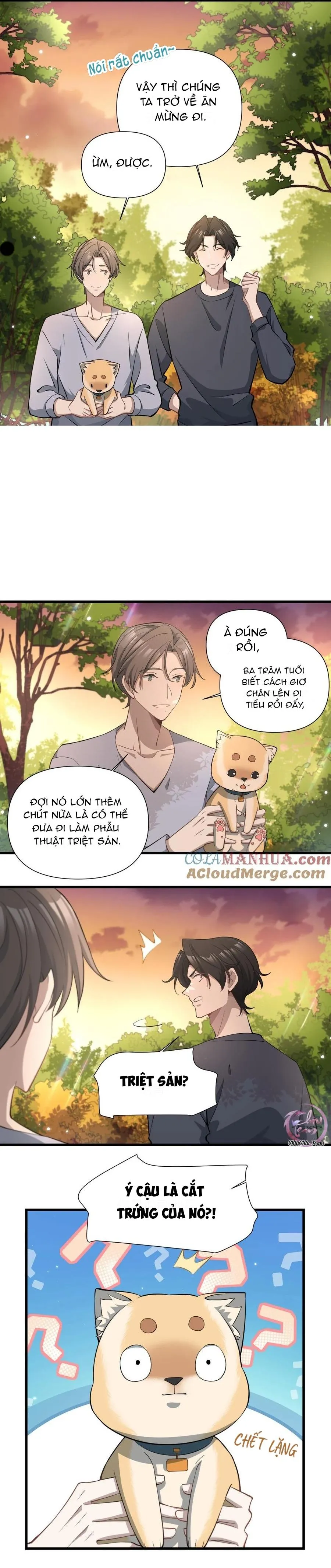 Công Thức Mỹ Học Chapter 31 Trang 4