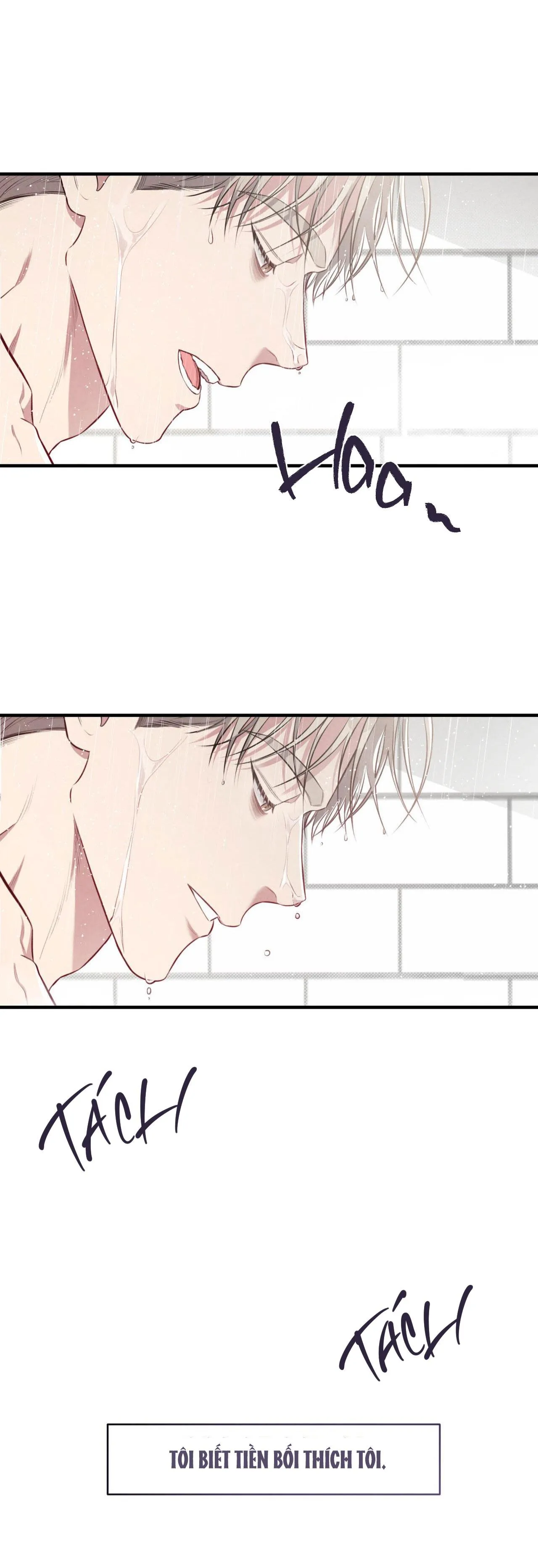 CÔNG TƯ PHÂN MINH Chapter 19 Trang 15