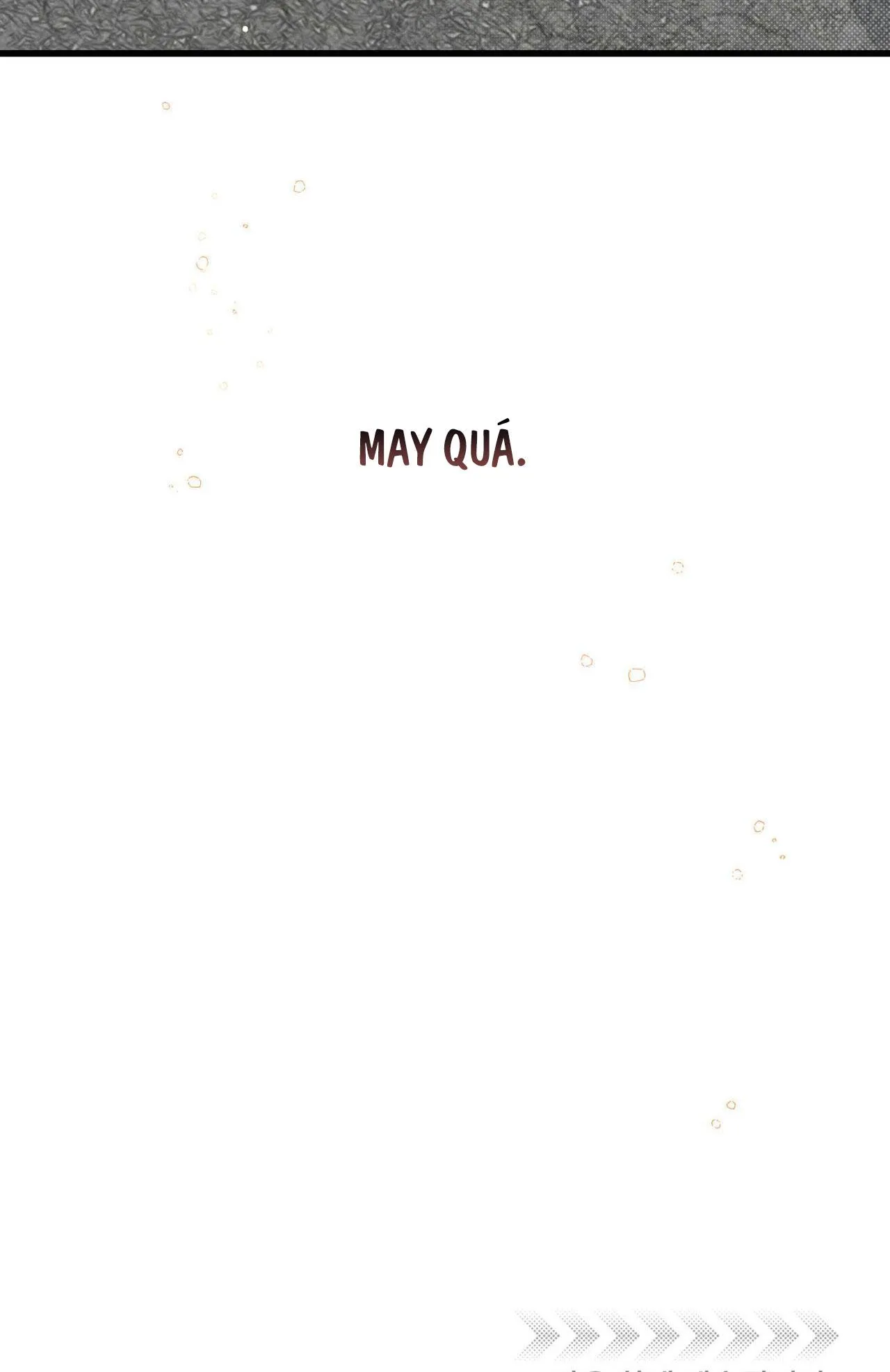 CÔNG TƯ PHÂN MINH Chapter 46 Trang 45