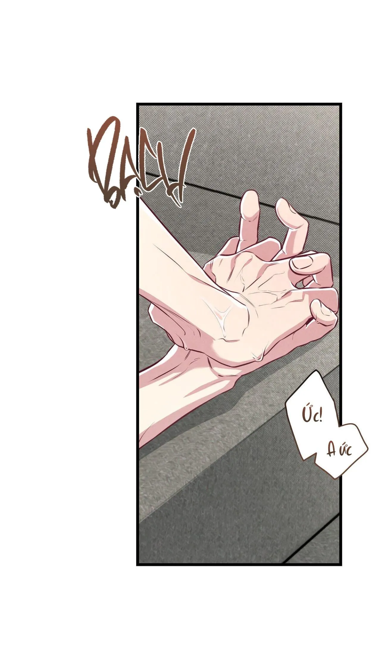 CÔNG TƯ PHÂN MINH Chapter 52 Trang 44