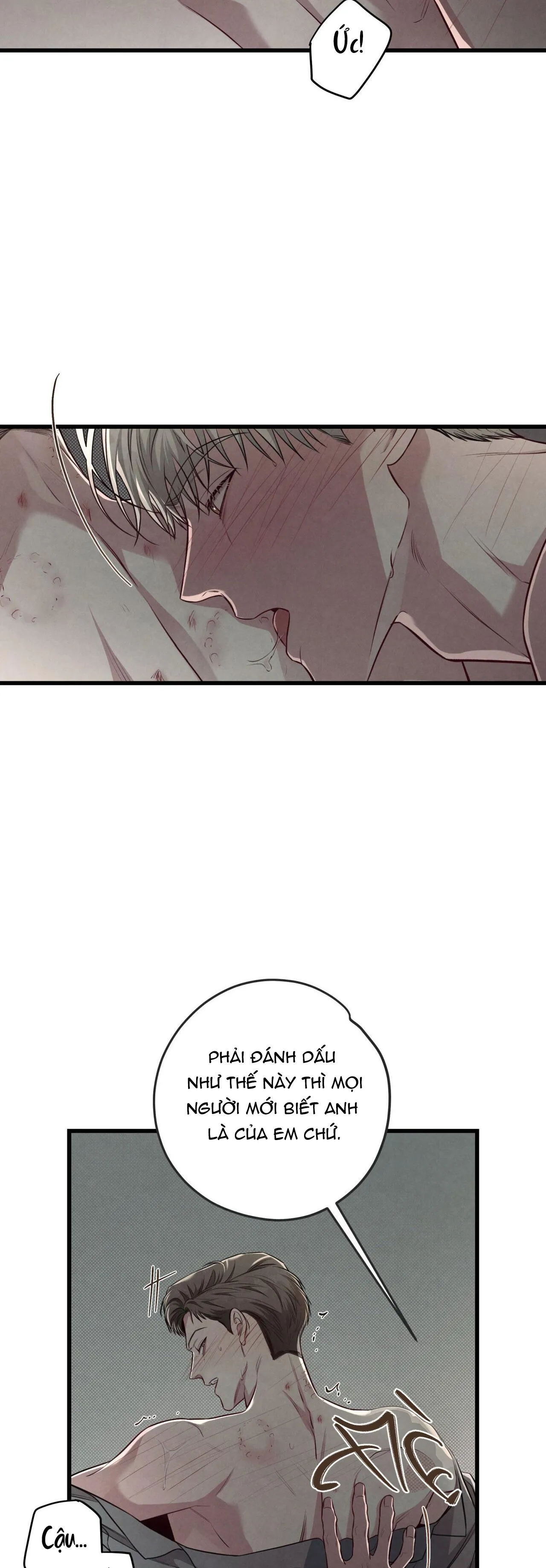 CÔNG TƯ PHÂN MINH Chapter 60 Trang 12