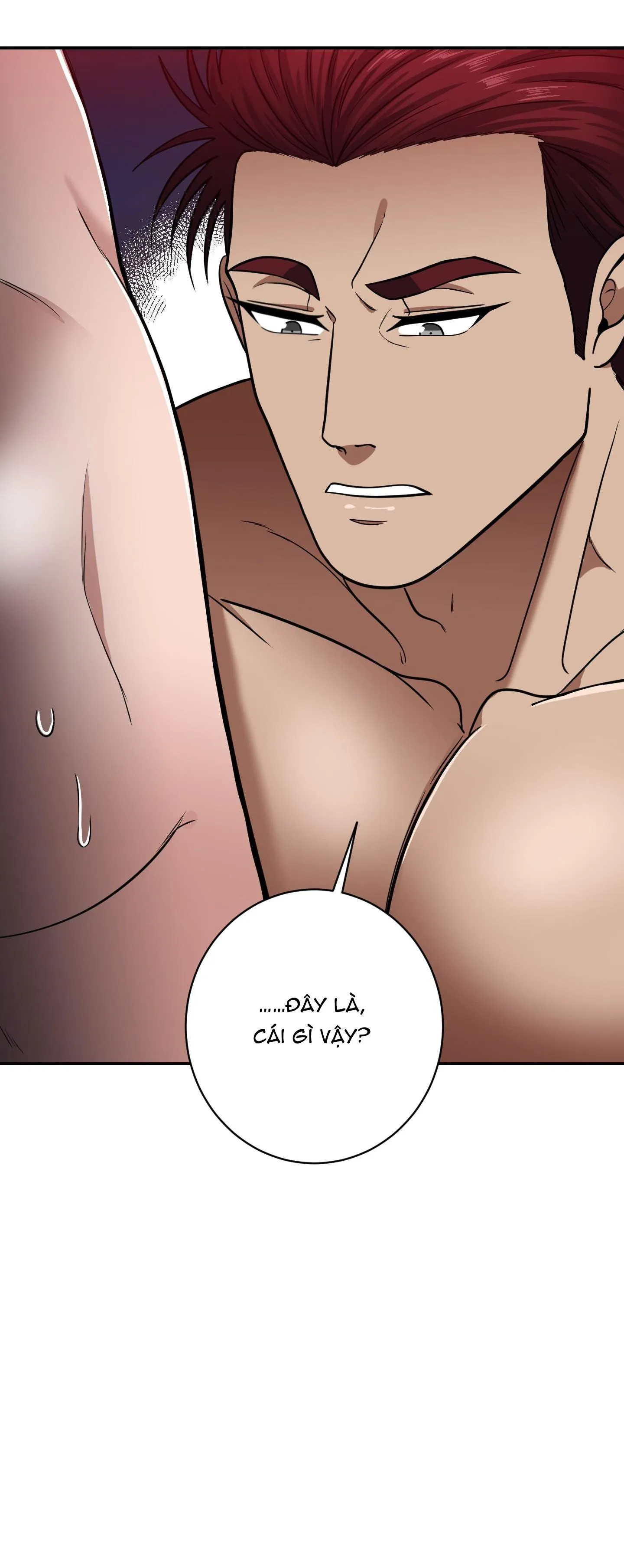 CÔNG TƯỚC MUỐN CÓ CON NỐI DÕI Chapter 3 Trang 28