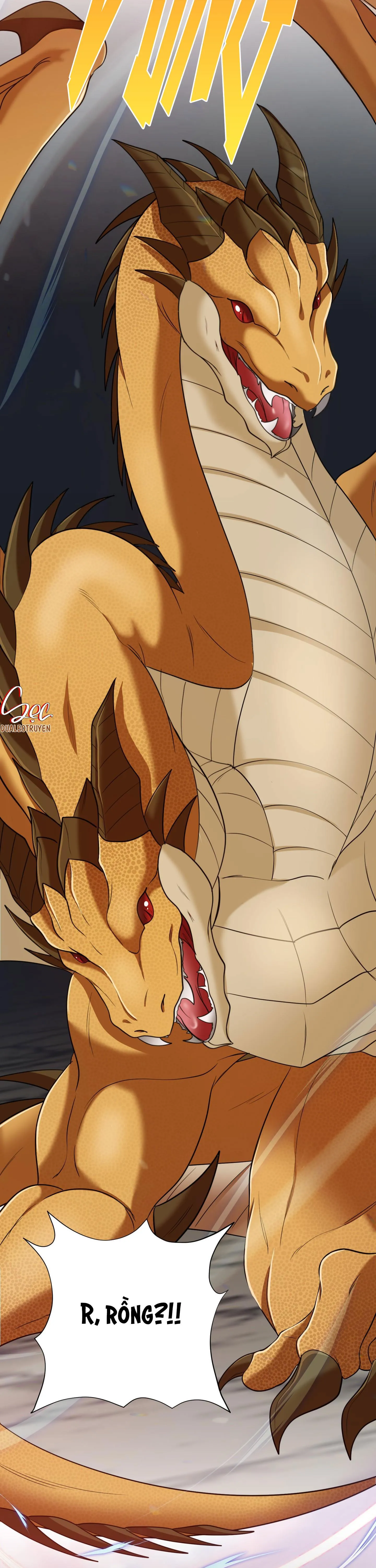 CÔNG TƯỚC MUỐN CÓ CON NỐI DÕI Chapter 15 Trang 13