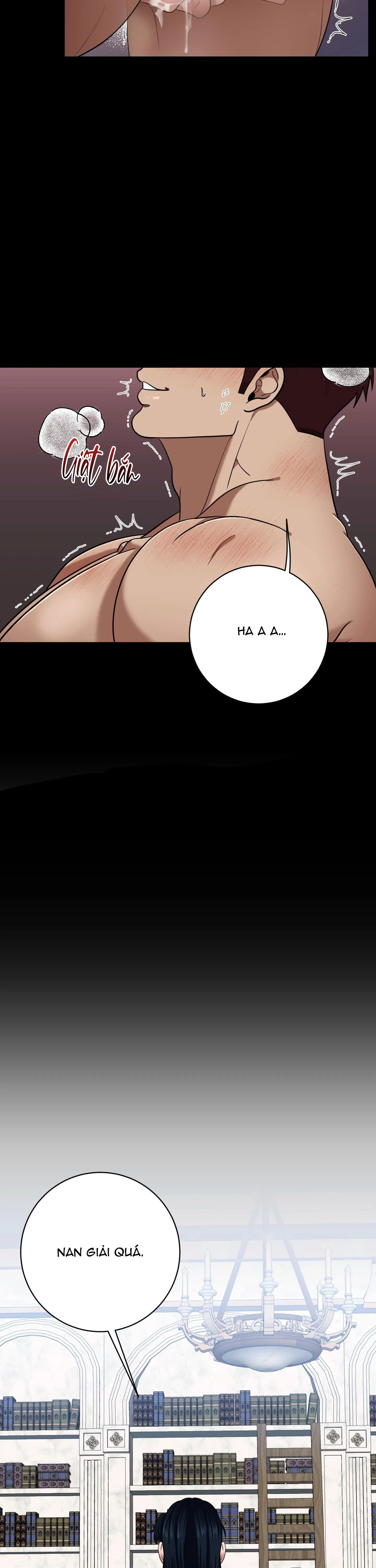 CÔNG TƯỚC MUỐN CÓ CON NỐI DÕI Chapter 19 Trang 13