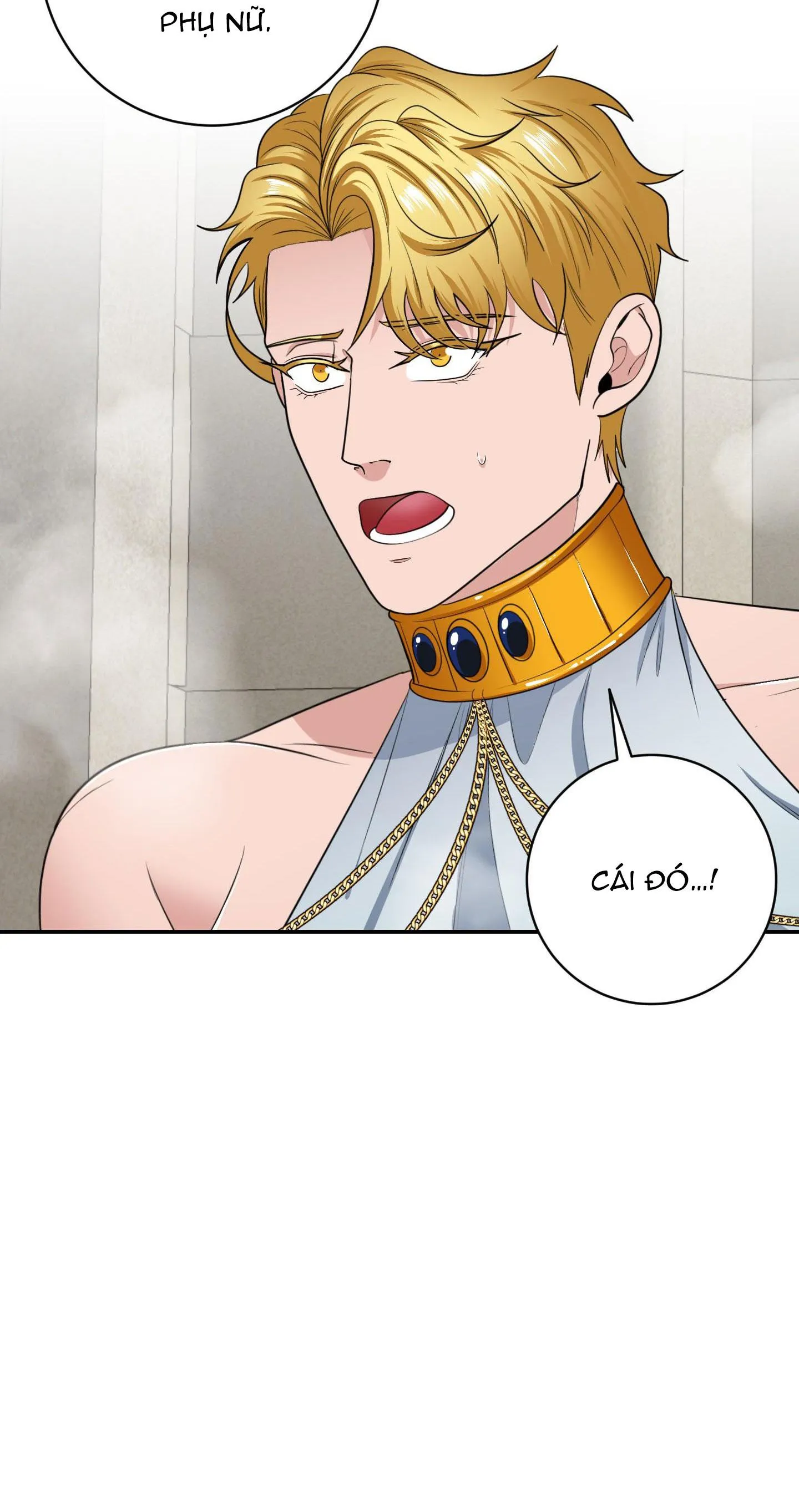 CÔNG TƯỚC MUỐN CÓ CON NỐI DÕI Chapter 22 Trang 10