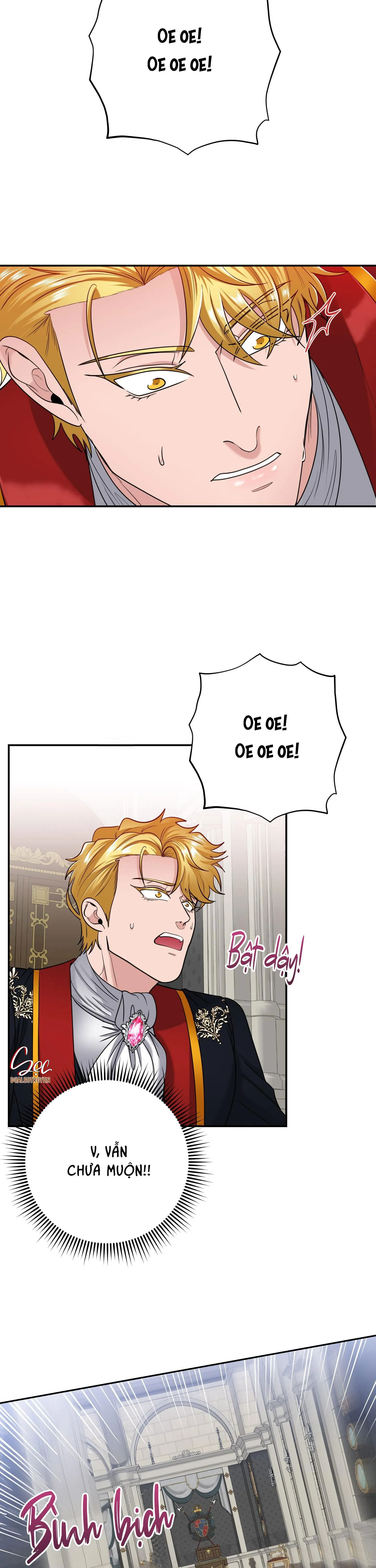 CÔNG TƯỚC MUỐN CÓ CON NỐI DÕI Chapter 25 Trang 17