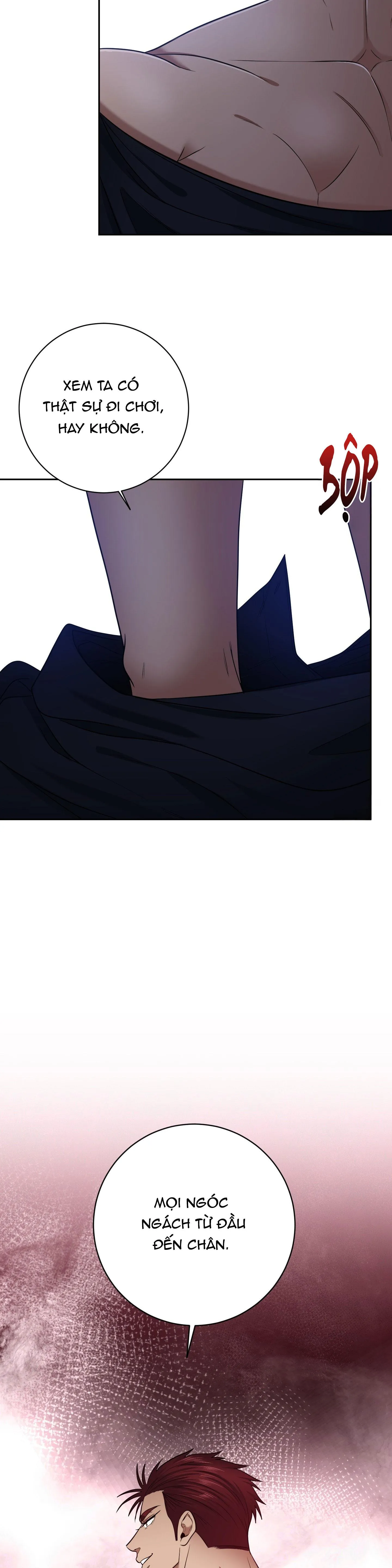 CÔNG TƯỚC MUỐN CÓ CON NỐI DÕI Chapter 32 Trang 8