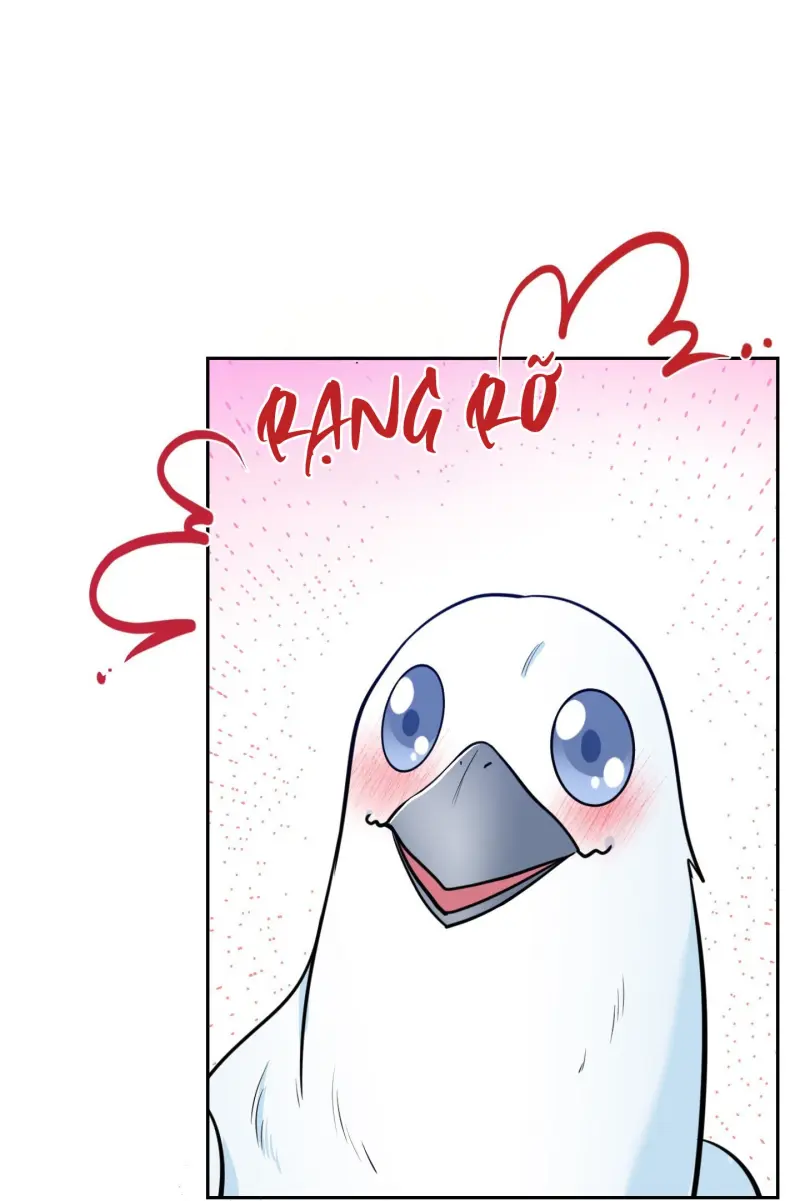 CÔNG TƯỚC MUỐN CÓ CON NỐI DÕI Chapter 61 Trang 41