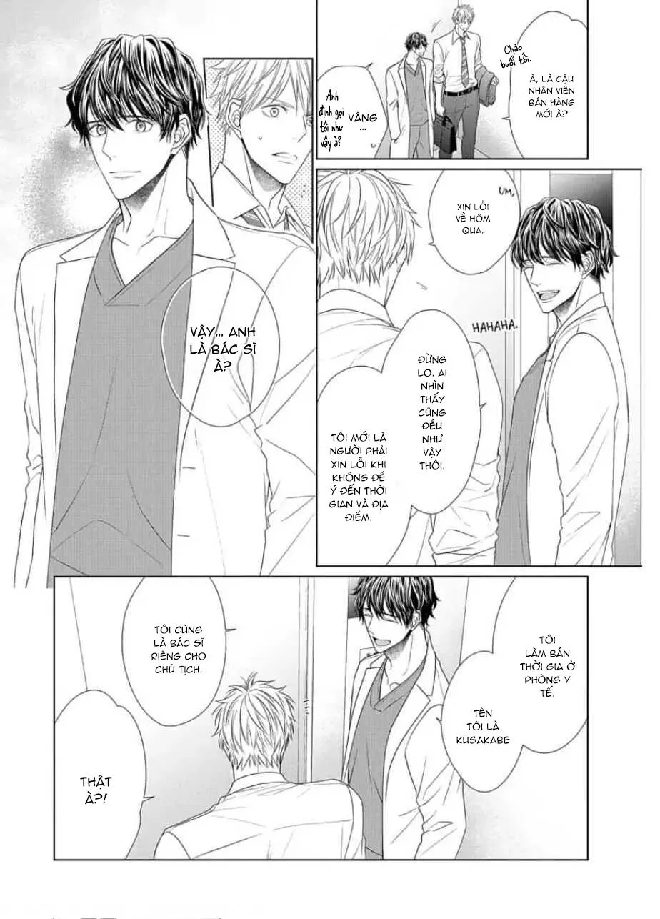 Công Việc Giường Chiếu Của Thư Ký Chapter 1 Trang 17