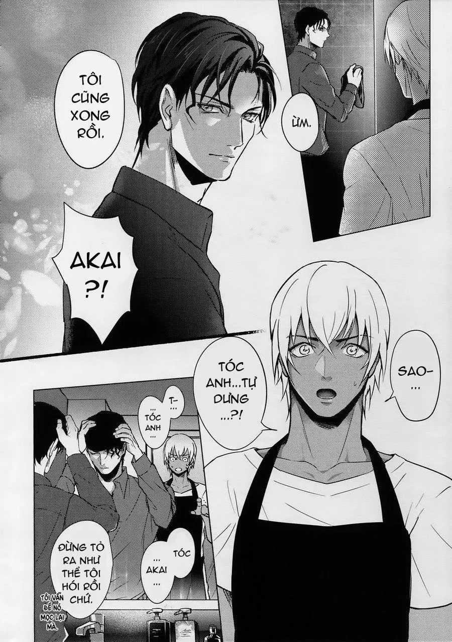 CP Trong Conan Chapter 20 Trang 19