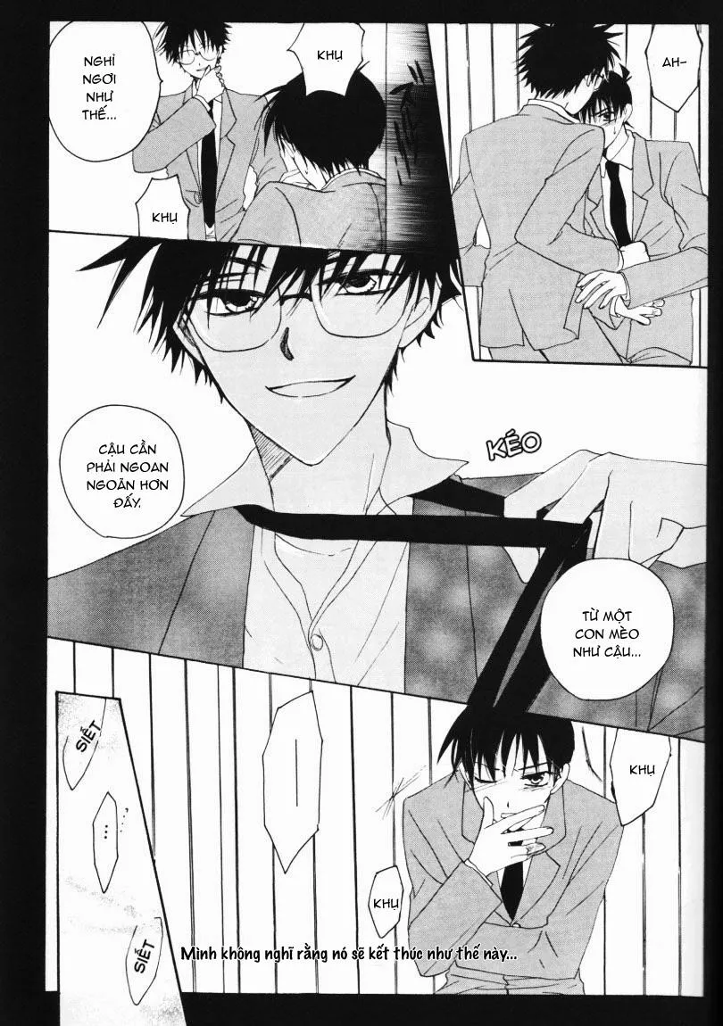 CP Trong Conan Chapter 31 Trang 7