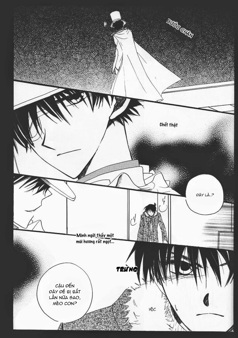 CP Trong Conan Chapter 31 Trang 23