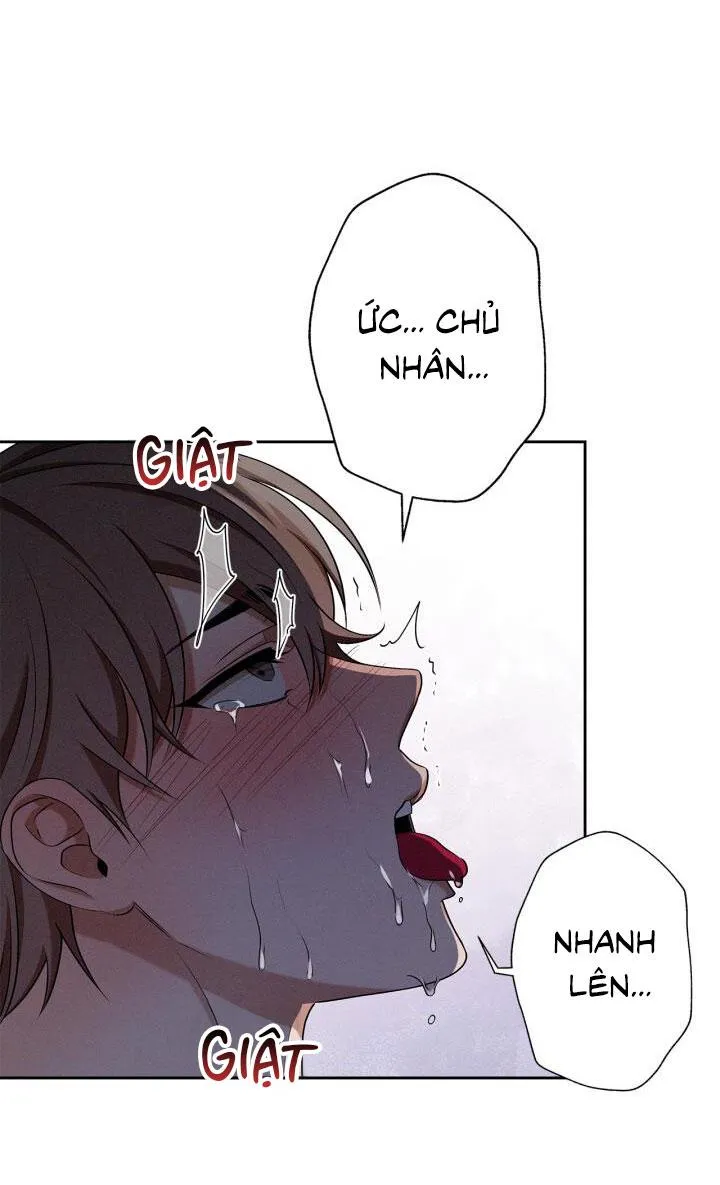 Critical Point Chapter 38 Trang 67