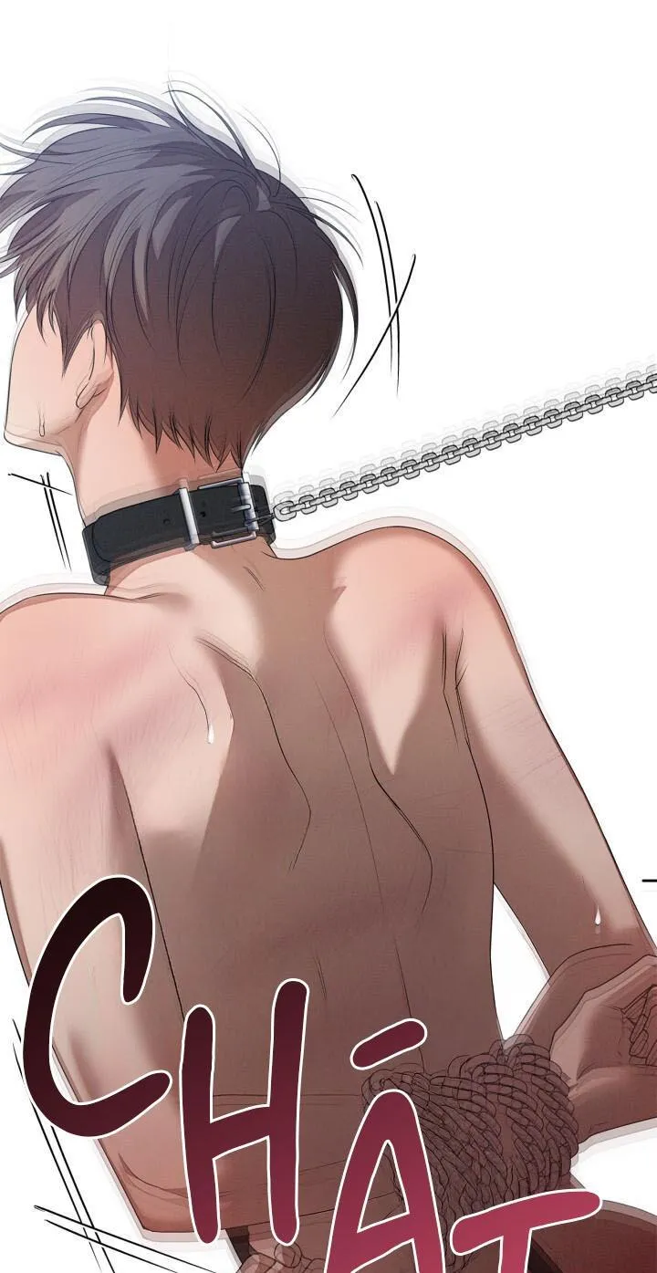 Critical Point Chapter 51 Trang 61