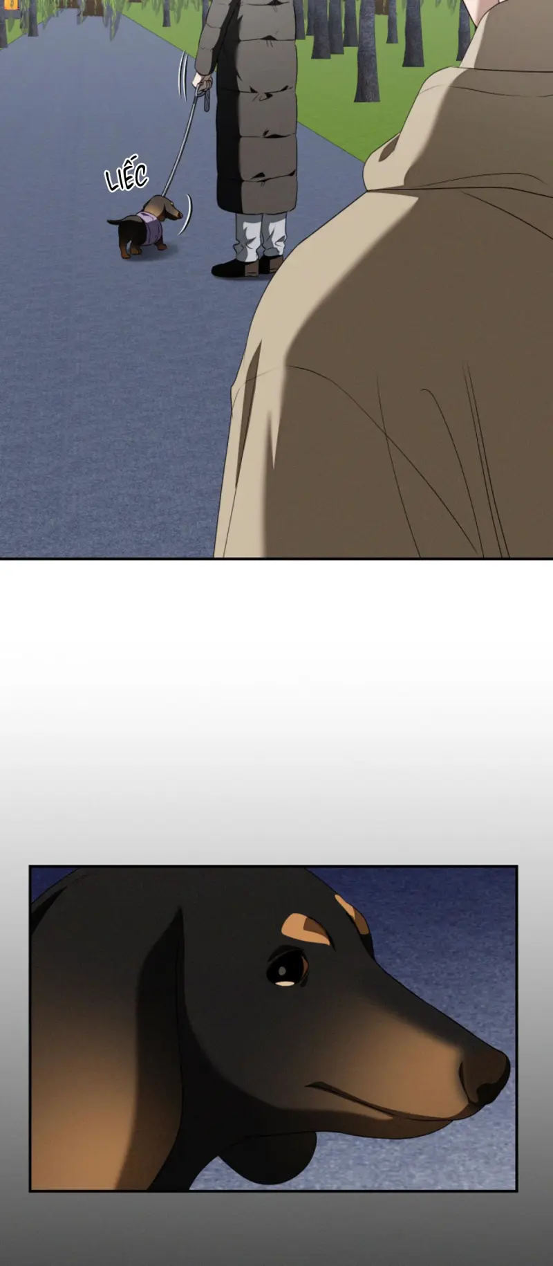 Critical Point Chapter 76 Trang 5