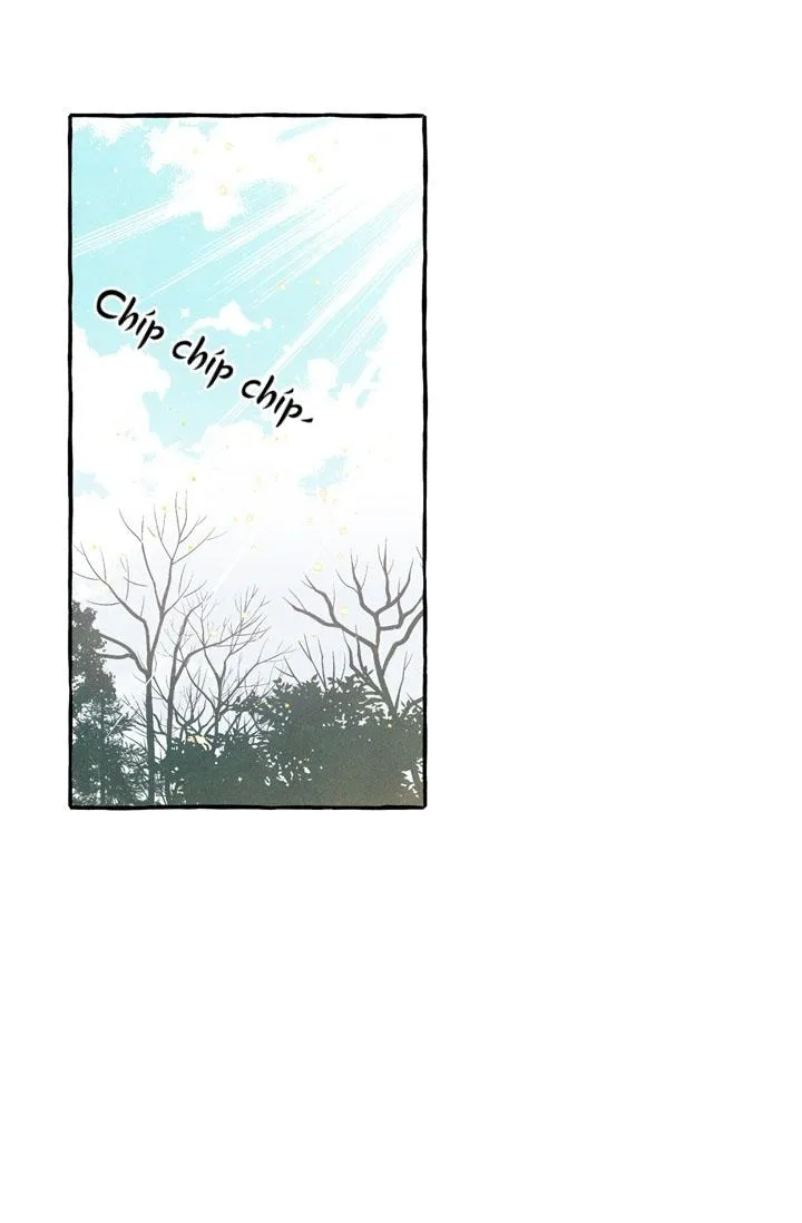 Cứ Bắt Đầu Dù Thế Nào Đi Nữa Chapter 2 Trang 52