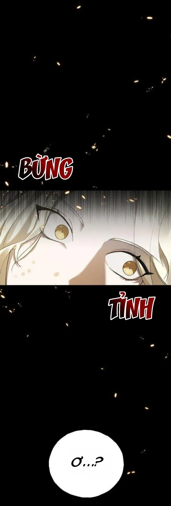 CÚ ĐẤM NETKAMA Chapter 2 Trang 13