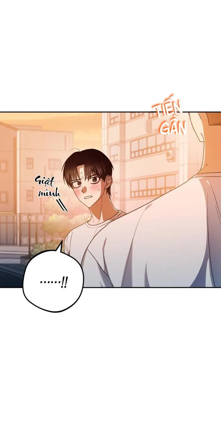 CÚ ĐẤM NETKAMA Chapter 38 Trang 5