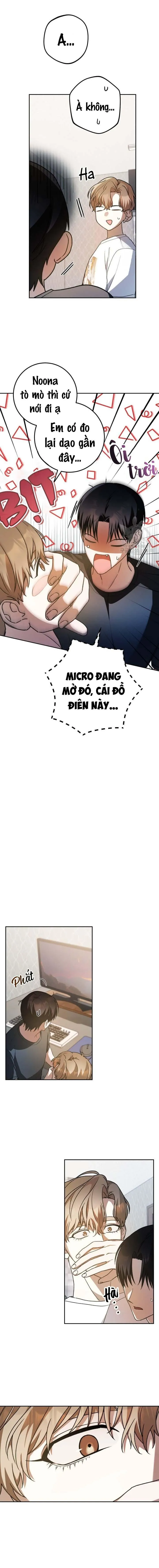 CÚ ĐẤM NETKAMA Chapter 40 Trang 10