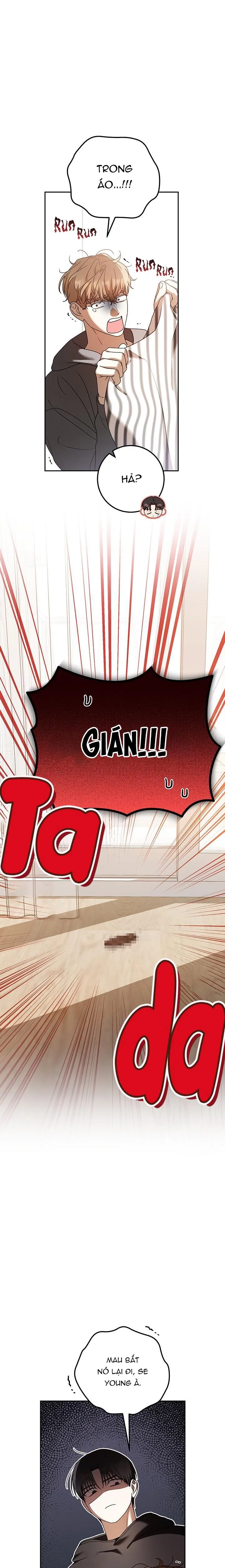 CÚ ĐẤM NETKAMA Chapter 78 Trang 16