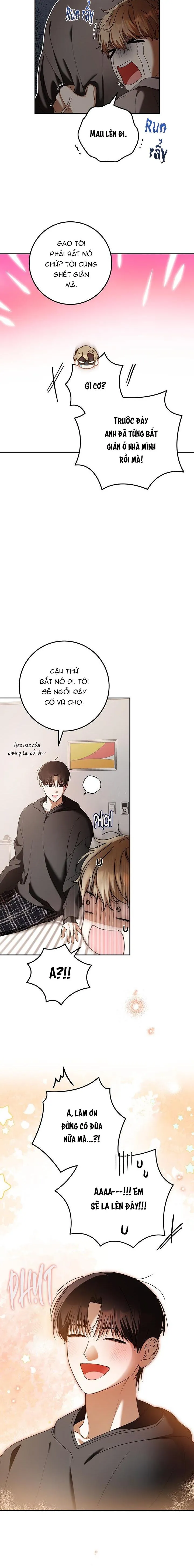 CÚ ĐẤM NETKAMA Chapter 78 Trang 17