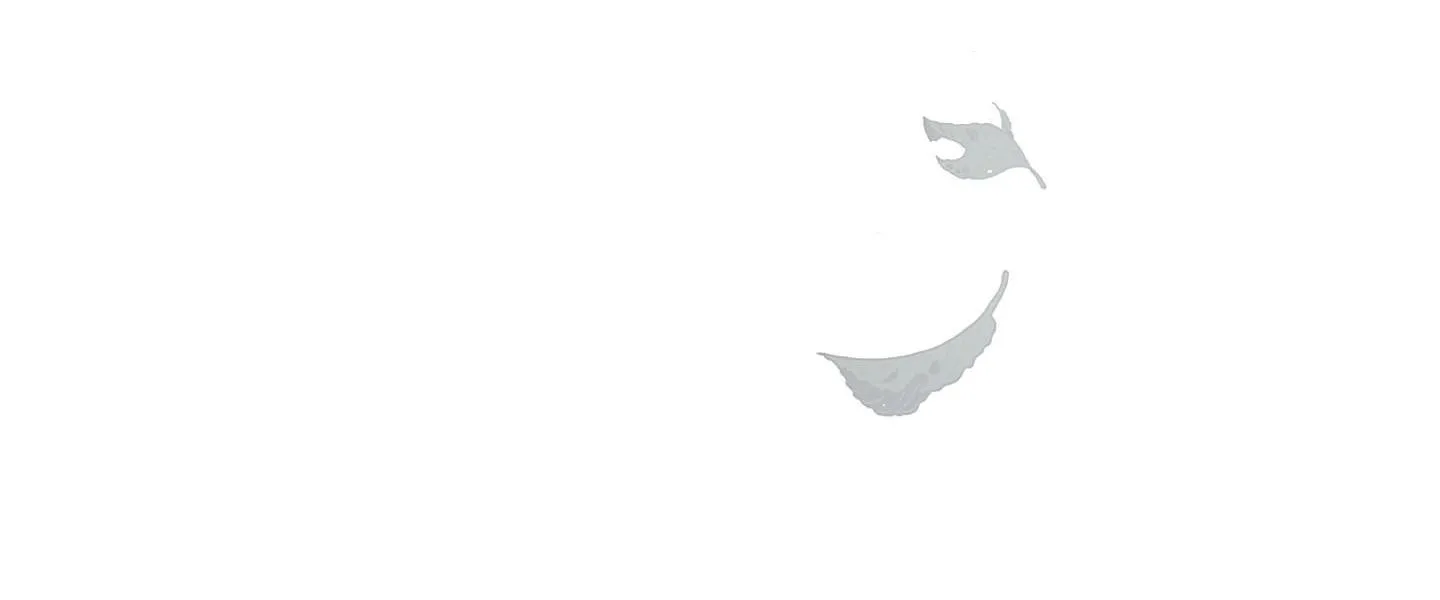 CỬA HÀNG ĐỒ CHƠI NGƯỜI LỚN JOSEON Chapter 13 Trang 84