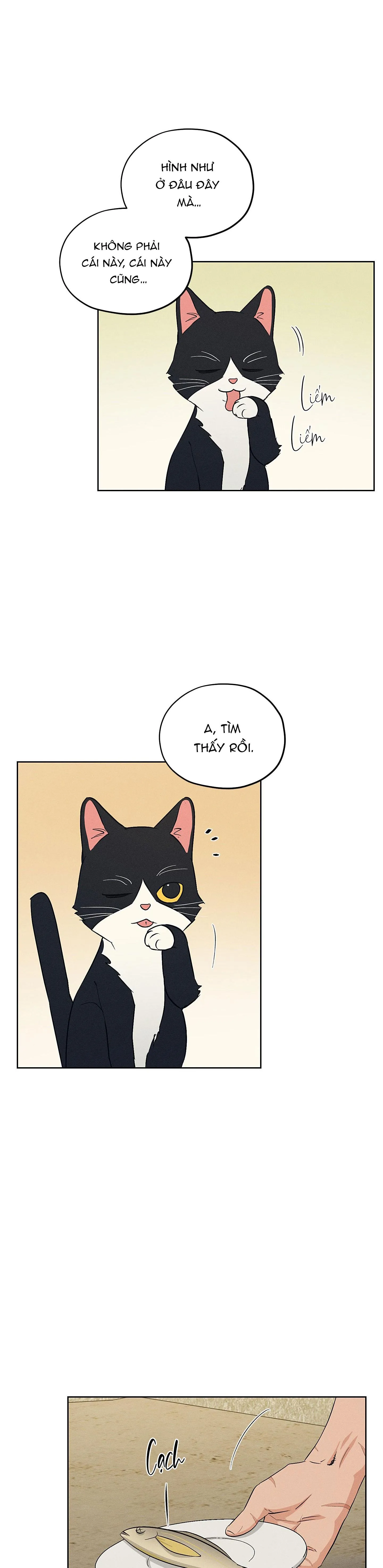 CỬA HÀNG ĐỒ CHƠI NGƯỜI LỚN JOSEON Chapter 36 Trang 5