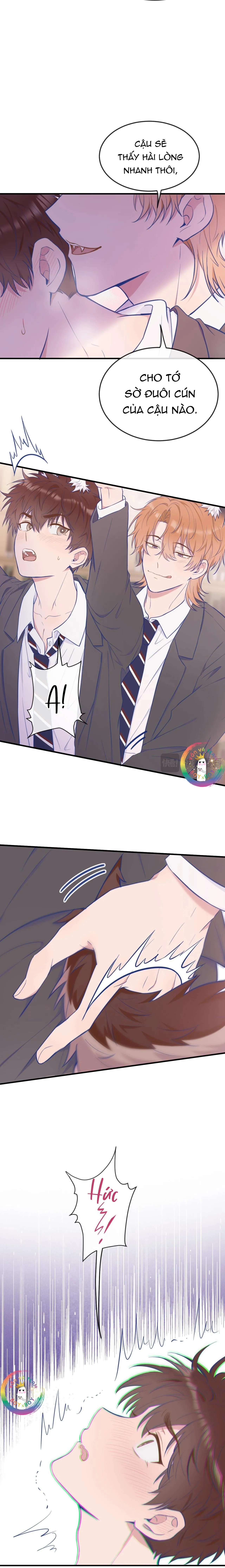 Cún Con Nói Dối Sẽ Bị Ăn Thịt Chapter 5 Trang 11