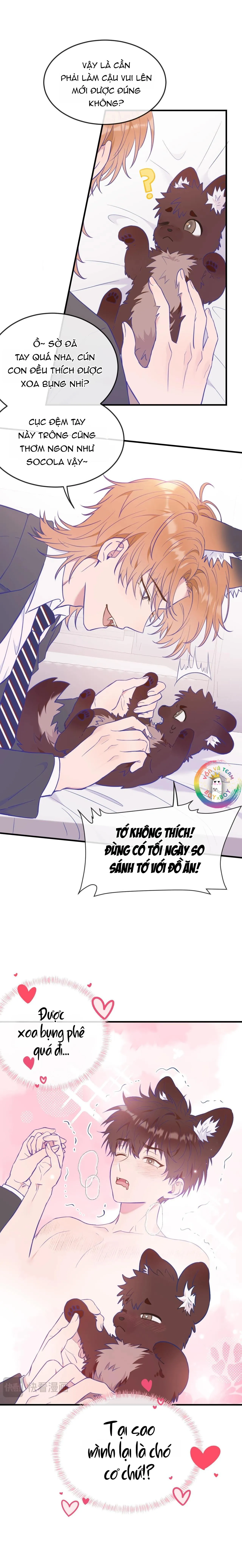 Cún Con Nói Dối Sẽ Bị Ăn Thịt Chapter 6 Trang 3