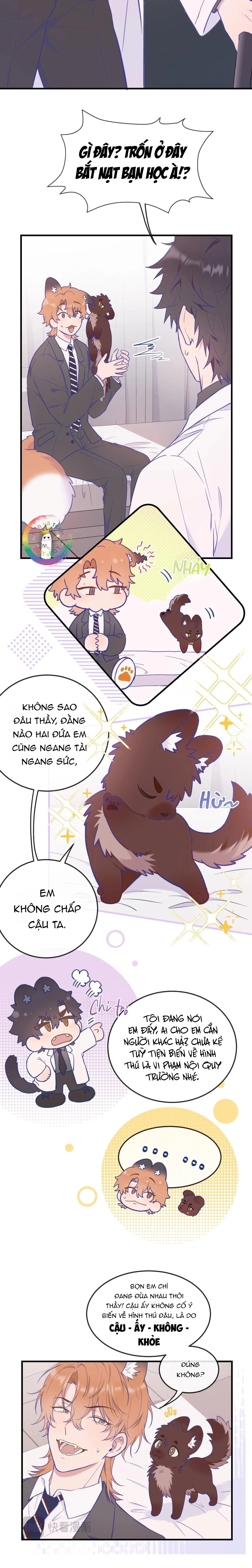 Cún Con Nói Dối Sẽ Bị Ăn Thịt Chapter 6 Trang 5