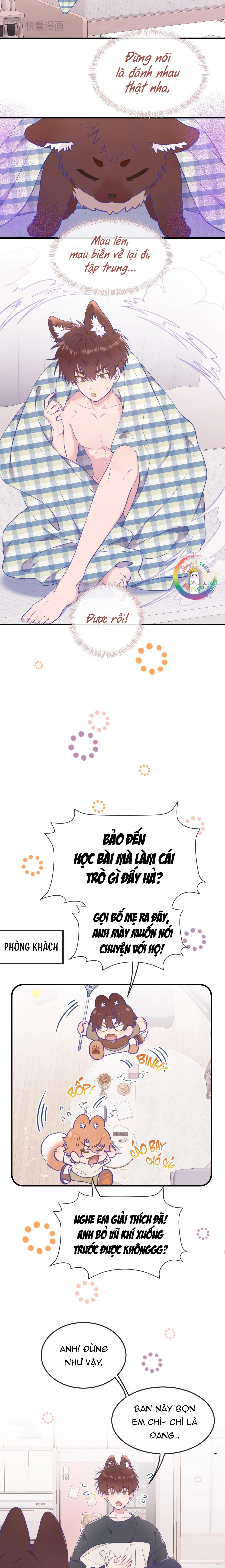 Cún Con Nói Dối Sẽ Bị Ăn Thịt Chapter 9 Trang 12