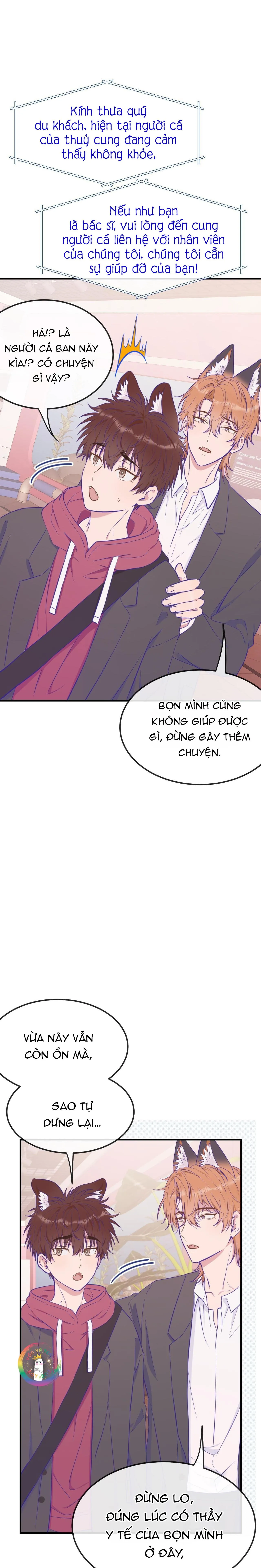 Cún Con Nói Dối Sẽ Bị Ăn Thịt Chapter 15 Trang 16