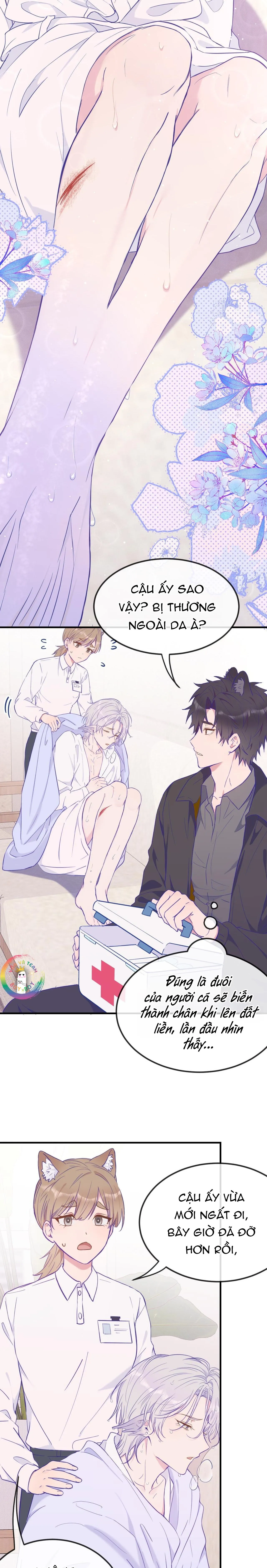 Cún Con Nói Dối Sẽ Bị Ăn Thịt Chapter 15 Trang 18