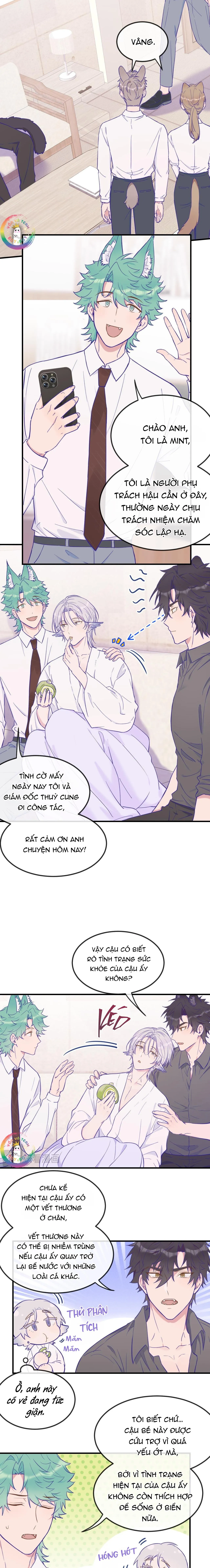 Cún Con Nói Dối Sẽ Bị Ăn Thịt Chapter 17 Trang 6