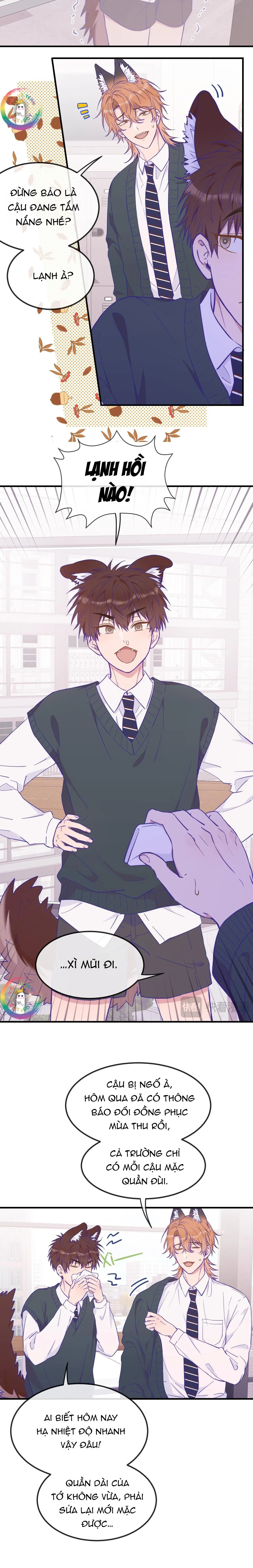 Cún Con Nói Dối Sẽ Bị Ăn Thịt Chapter 21 Trang 9