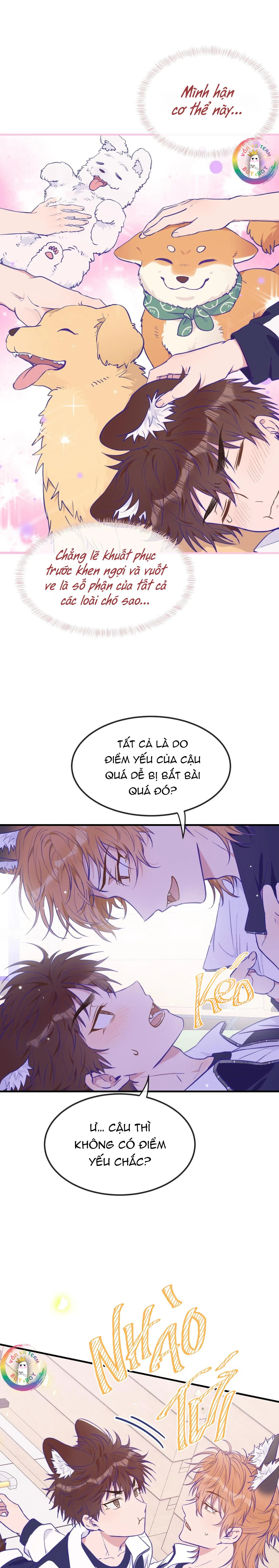 Cún Con Nói Dối Sẽ Bị Ăn Thịt Chapter 27 Trang 17