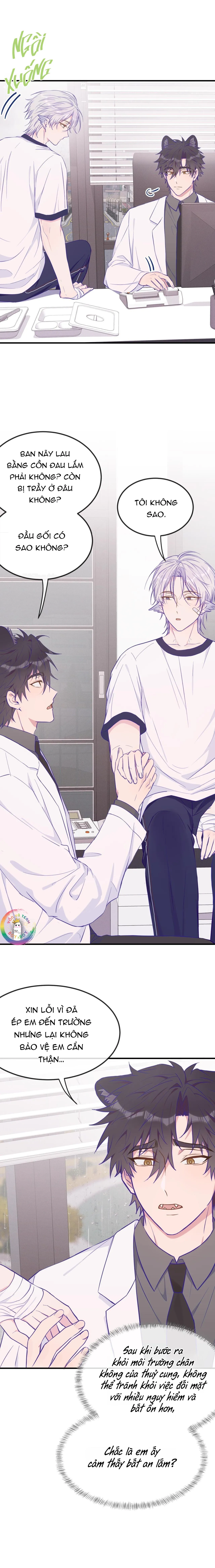 Cún Con Nói Dối Sẽ Bị Ăn Thịt Chapter 29 Trang 7