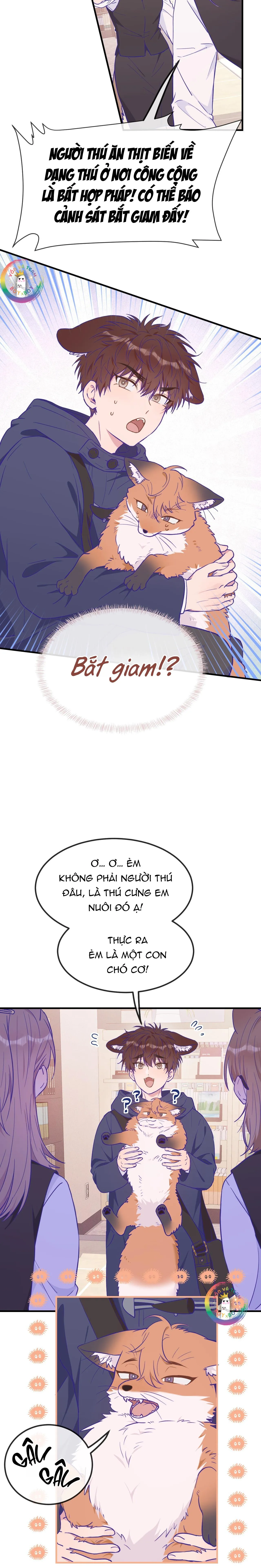 Cún Con Nói Dối Sẽ Bị Ăn Thịt Chapter 33 Trang 4