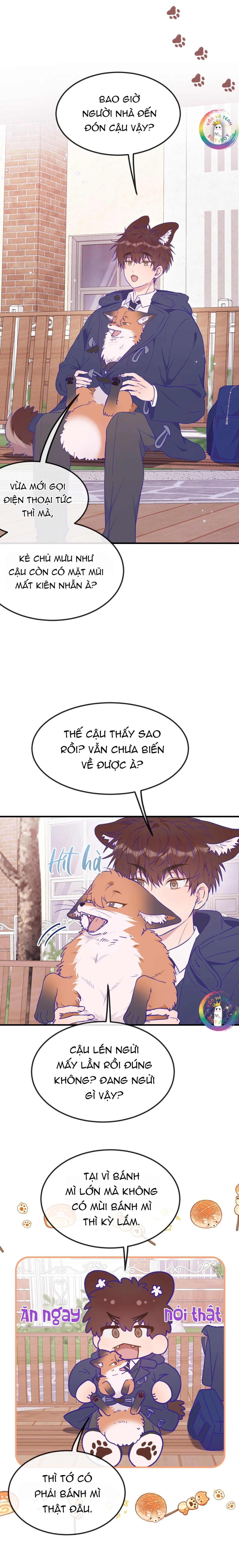 Cún Con Nói Dối Sẽ Bị Ăn Thịt Chapter 33 Trang 6